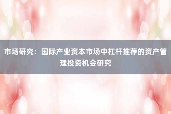 市场研究:国际产业资本市场中杠杆推荐的资产管理投资机会研究