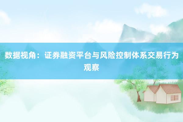 数据视角:证券融资平台与风险控制体系交易行为观察