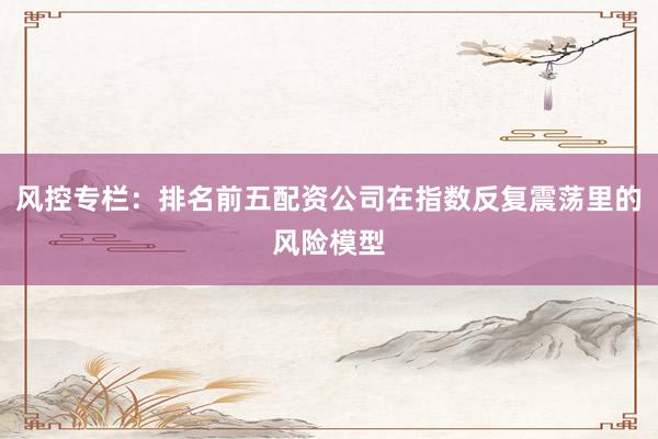 风控专栏：排名前五配资公司在指数反复震荡里的风险模型