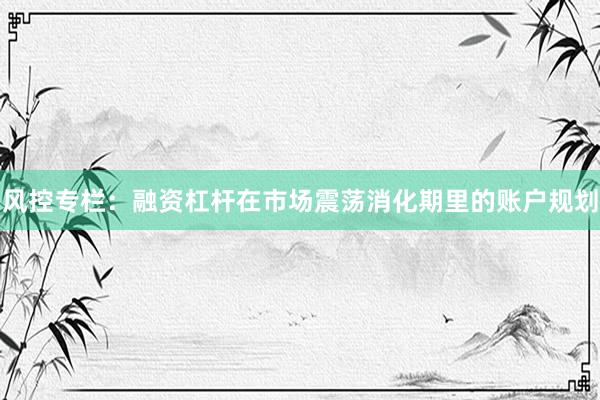风控专栏:融资杠杆在市场震荡消化期里的账户规划