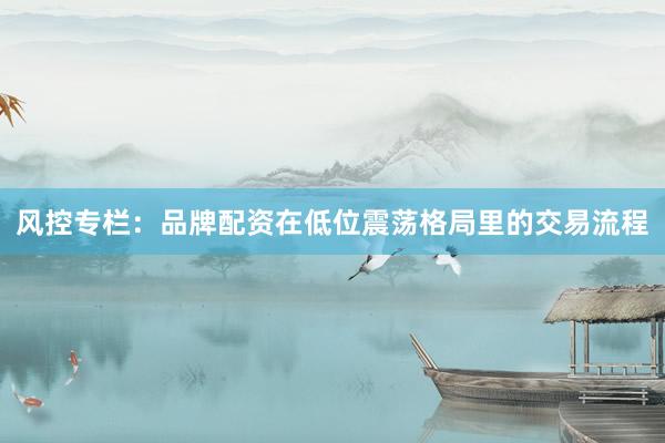 风控专栏：品牌配资在低位震荡格局里的交易流程