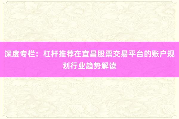 深度专栏：杠杆推荐在宜昌股票交易平台的账户规划行业趋势解读