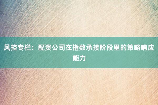 风控专栏：配资公司在指数承接阶段里的策略响应能力