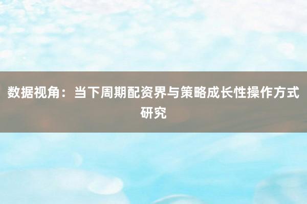 数据视角：当下周期配资界与策略成长性操作方式研究