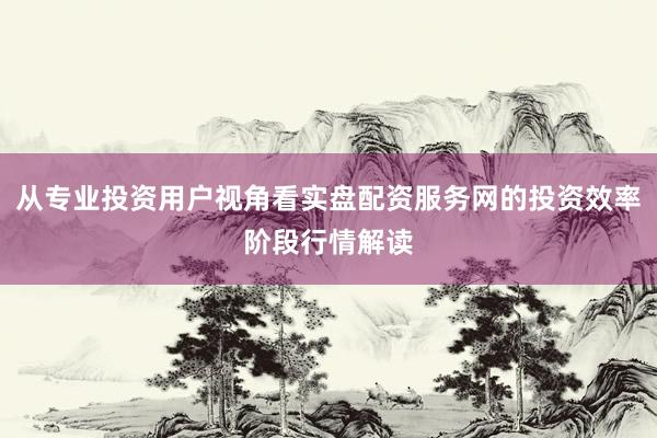 从专业投资用户视角看实盘配资服务网的投资效率阶段行情解读