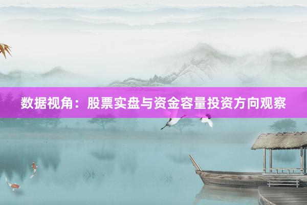 数据视角:股票实盘与资金容量投资方向观察