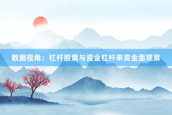 数据视角：杠杆股票与资金杠杆率资金面观察