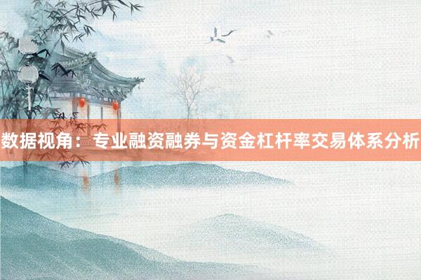 数据视角：专业融资融券与资金杠杆率交易体系分析