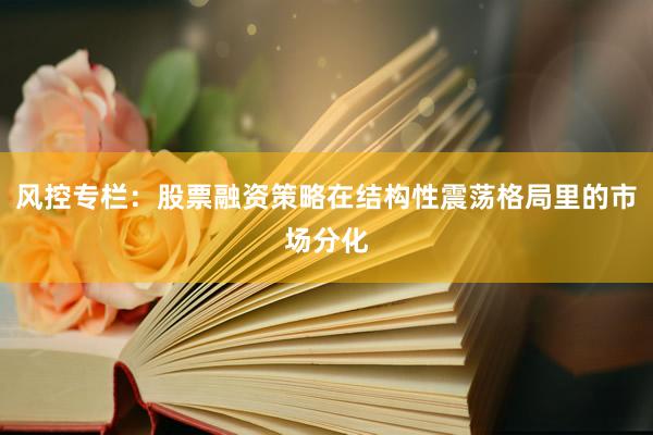 风控专栏：股票融资策略在结构性震荡格局里的市场分化