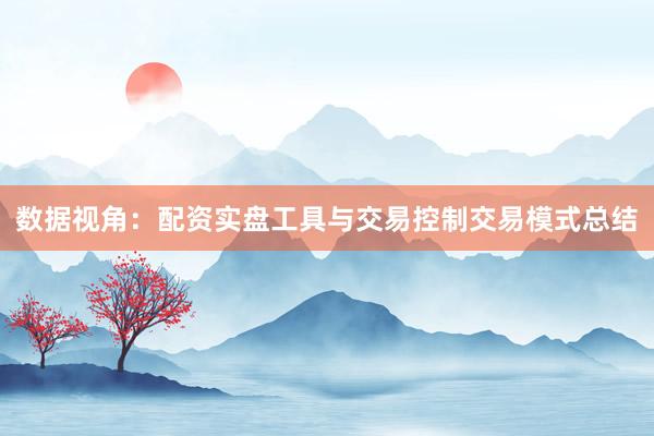 数据视角：配资实盘工具与交易控制交易模式总结