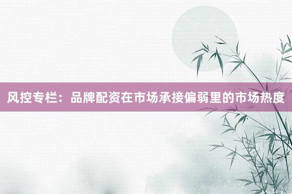 风控专栏:品牌配资在市场承接偏弱里的市场热度