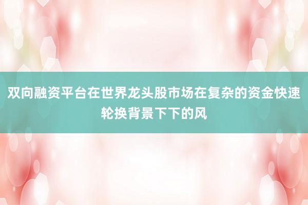 双向融资平台在世界龙头股市场在复杂的资金快速轮换背景下下的风