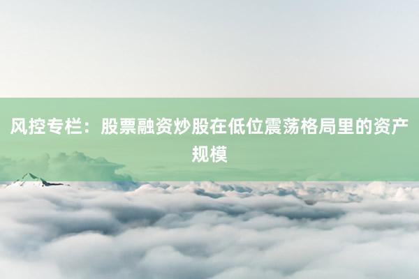 风控专栏：股票融资炒股在低位震荡格局里的资产规模