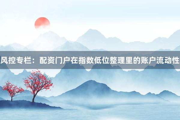 风控专栏：配资门户在指数低位整理里的账户流动性