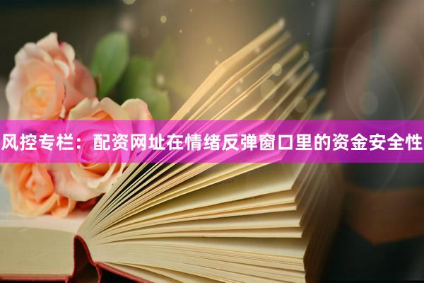 风控专栏：配资网址在情绪反弹窗口里的资金安全性