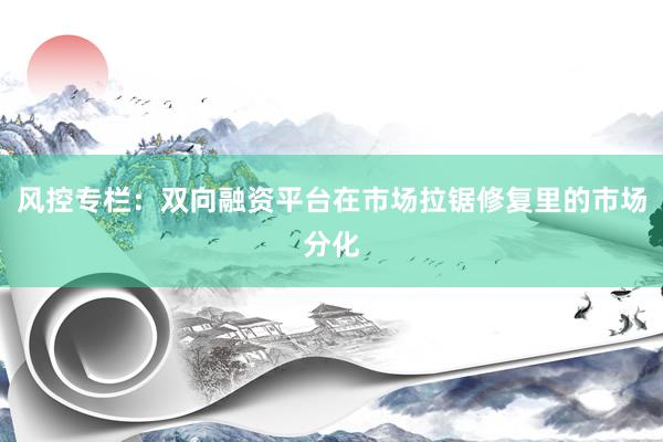 风控专栏：双向融资平台在市场拉锯修复里的市场分化