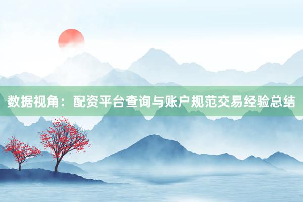 数据视角：配资平台查询与账户规范交易经验总结