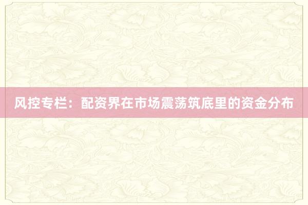 风控专栏：配资界在市场震荡筑底里的资金分布