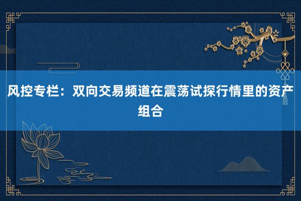 风控专栏：双向交易频道在震荡试探行情里的资产组合