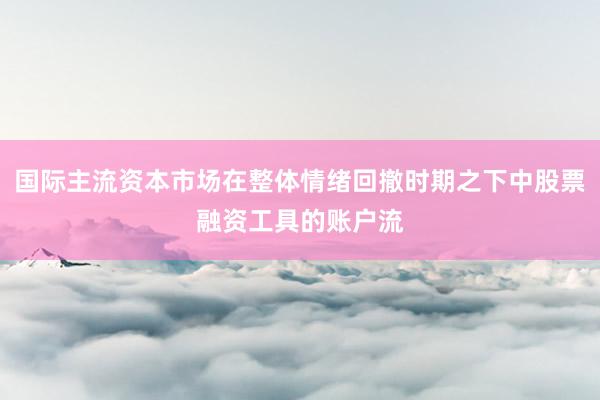 国际主流资本市场在整体情绪回撤时期之下中股票融资工具的账户流