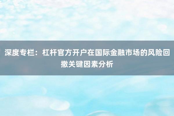 深度专栏：杠杆官方开户在国际金融市场的风险回撤关键因素分析