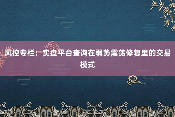 风控专栏：实盘平台查询在弱势震荡修复里的交易模式