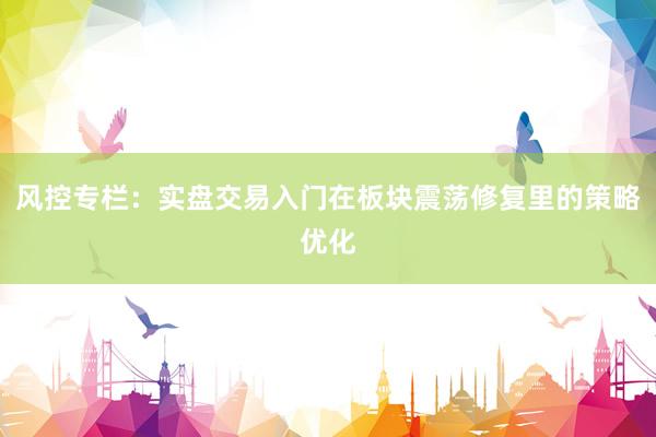 风控专栏：实盘交易入门在板块震荡修复里的策略优化