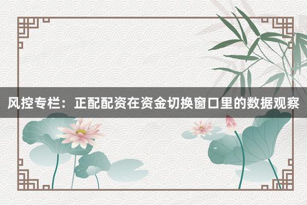 风控专栏：正配配资在资金切换窗口里的数据观察