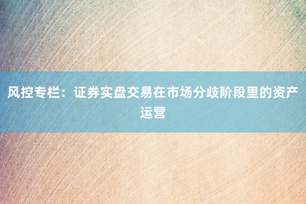 风控专栏:证券实盘交易在市场分歧阶段里的资产运营