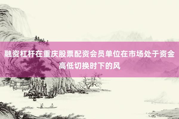 融资杠杆在重庆股票配资会员单位在市场处于资金高低切换时下的风