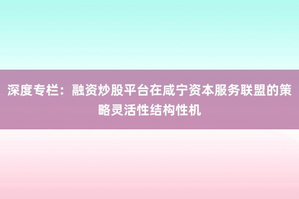 深度专栏：融资炒股平台在咸宁资本服务联盟的策略灵活性结构性机
