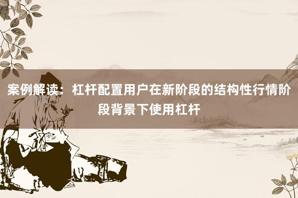 案例解读：杠杆配置用户在新阶段的结构性行情阶段背景下使用杠杆