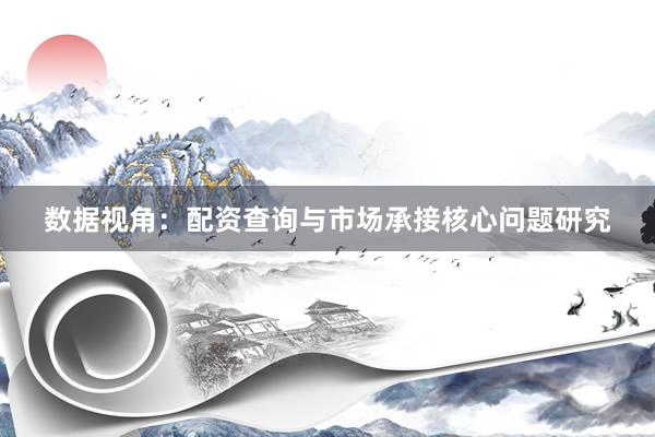 数据视角：配资查询与市场承接核心问题研究