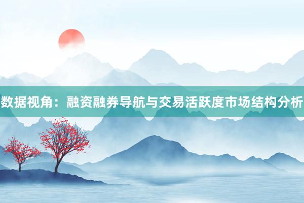 数据视角：融资融券导航与交易活跃度市场结构分析