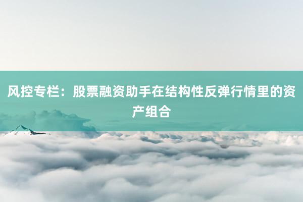 风控专栏：股票融资助手在结构性反弹行情里的资产组合