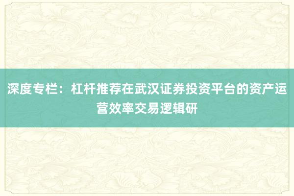 深度专栏：杠杆推荐在武汉证券投资平台的资产运营效率交易逻辑研