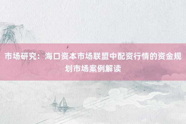 市场研究：海口资本市场联盟中配资行情的资金规划市场案例解读