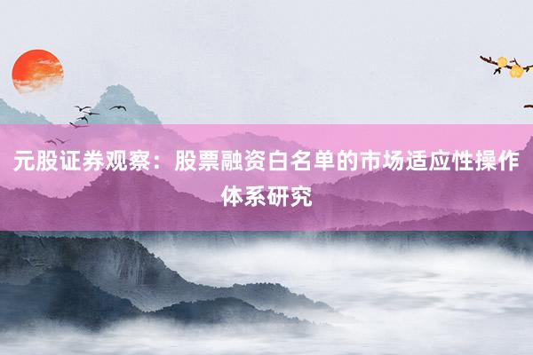 元股证券观察:股票融资白名单的市场适应性操作体系研究
