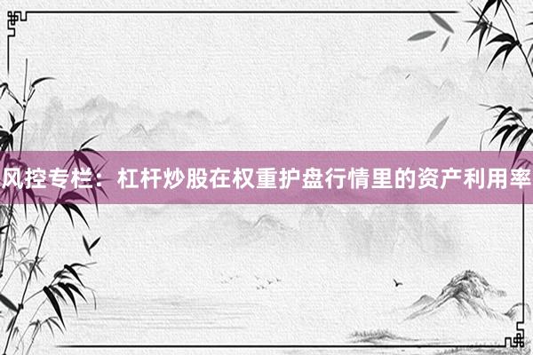 风控专栏：杠杆炒股在权重护盘行情里的资产利用率