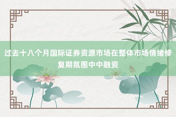 过去十八个月国际证券资源市场在整体市场情绪修复期氛围中中融资