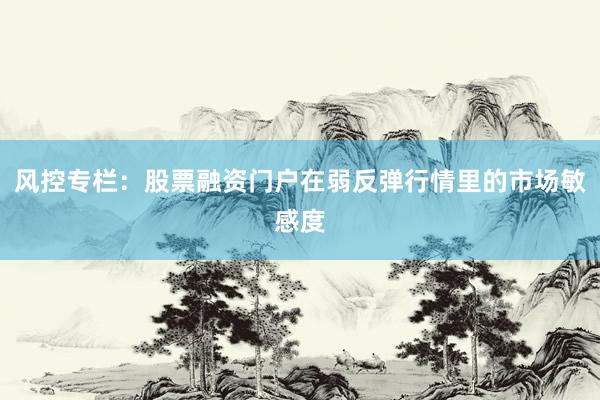 风控专栏：股票融资门户在弱反弹行情里的市场敏感度
