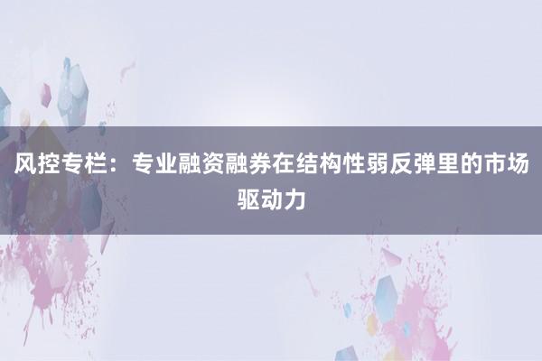 风控专栏:专业融资融券在结构性弱反弹里的市场驱动力