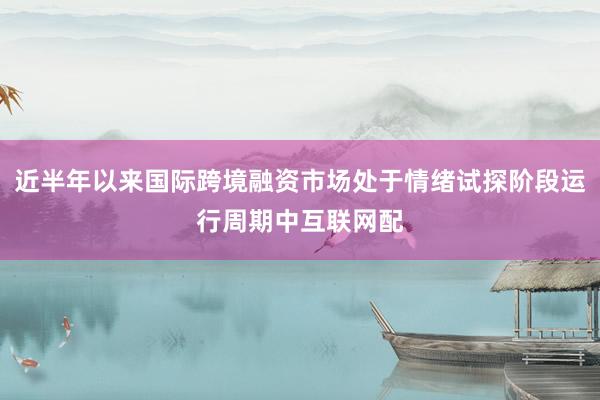 近半年以来国际跨境融资市场处于情绪试探阶段运行周期中互联网配