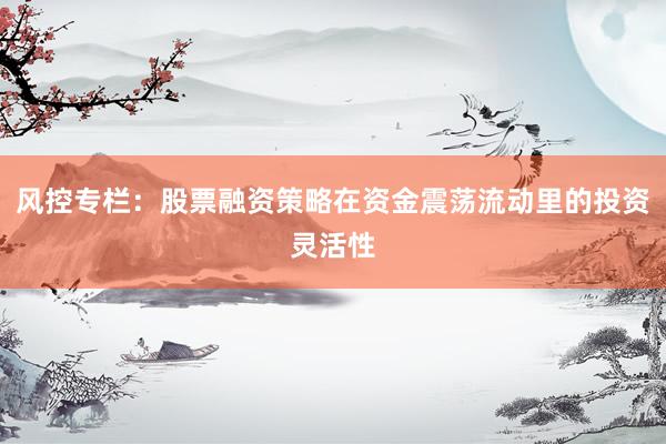 风控专栏：股票融资策略在资金震荡流动里的投资灵活性