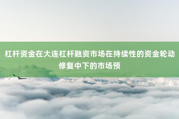 杠杆资金在大连杠杆融资市场在持续性的资金轮动修复中下的市场预