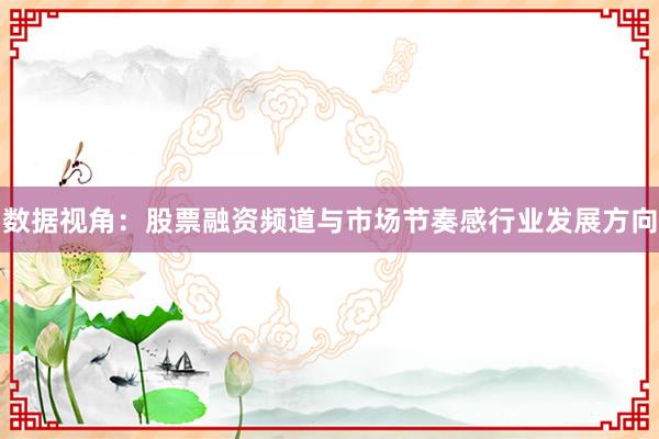 数据视角：股票融资频道与市场节奏感行业发展方向