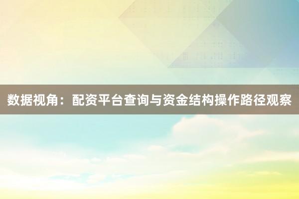 数据视角：配资平台查询与资金结构操作路径观察