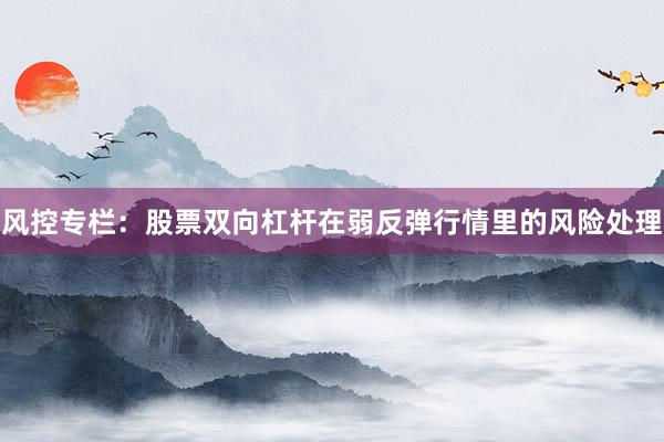 风控专栏：股票双向杠杆在弱反弹行情里的风险处理