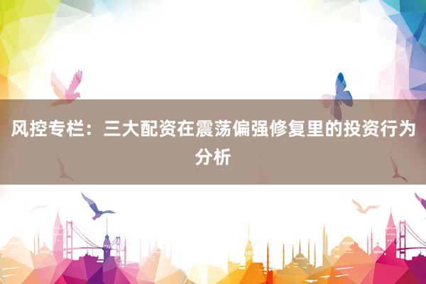 风控专栏:三大配资在震荡偏强修复里的投资行为分析
