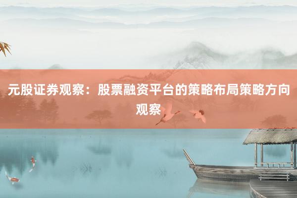 元股证券观察：股票融资平台的策略布局策略方向观察